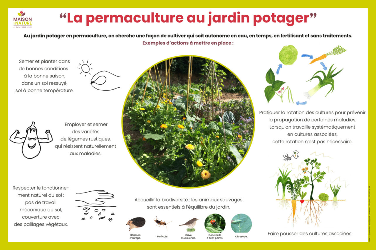 Panneau la permaculture au jardin potager: quelques exemples