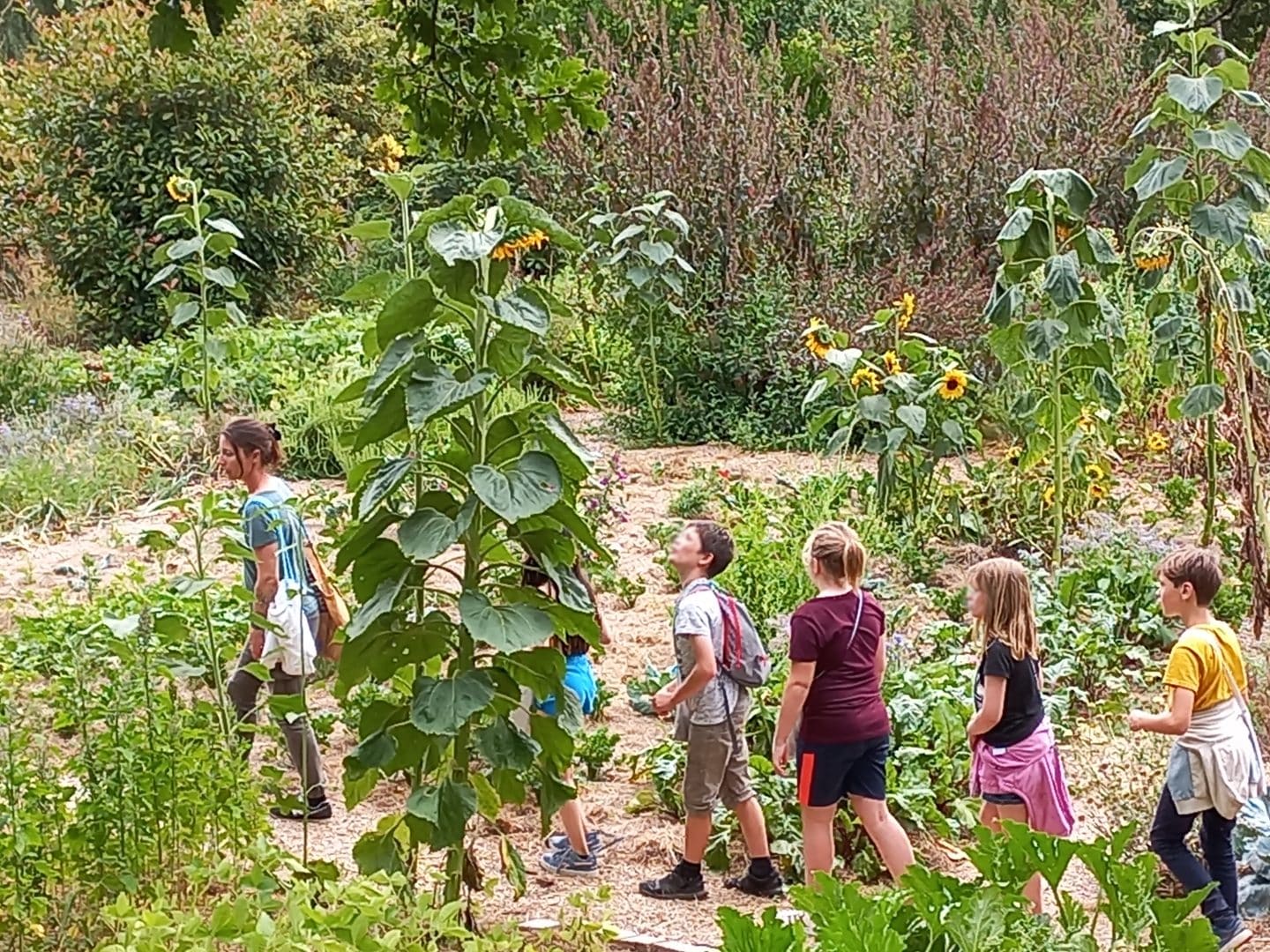 Visiter un jardin en permaculture