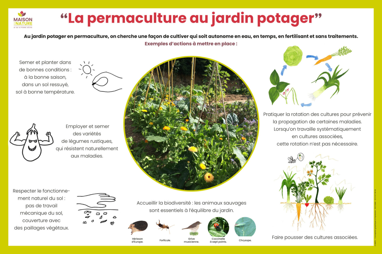 Visite du potager en permaculture