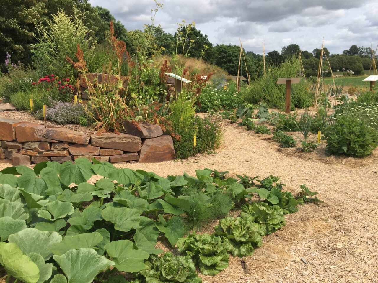 Visite libre du jardin potager en permaculture