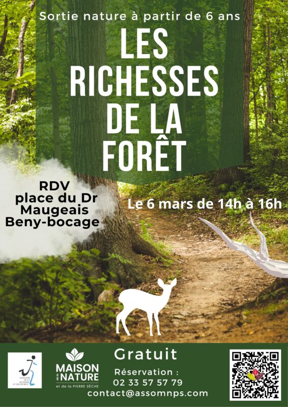 Les richesses de la forêt